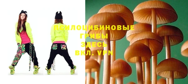 сатива Кукмор