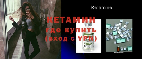 сатива Кукмор