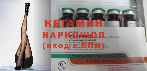 сатива Кукмор