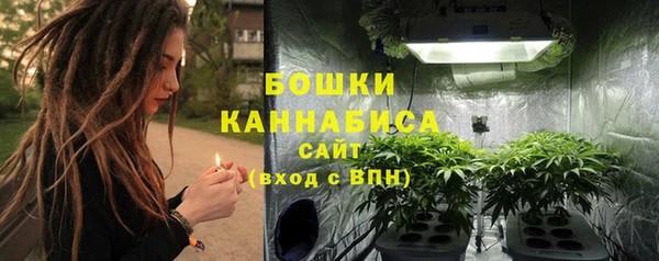 сатива Кукмор