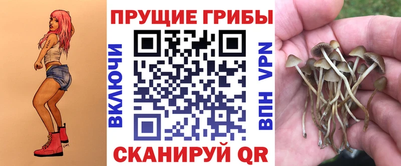 MEGA как зайти  Иноземцево  Галлюциногенные грибы прущие грибы 
